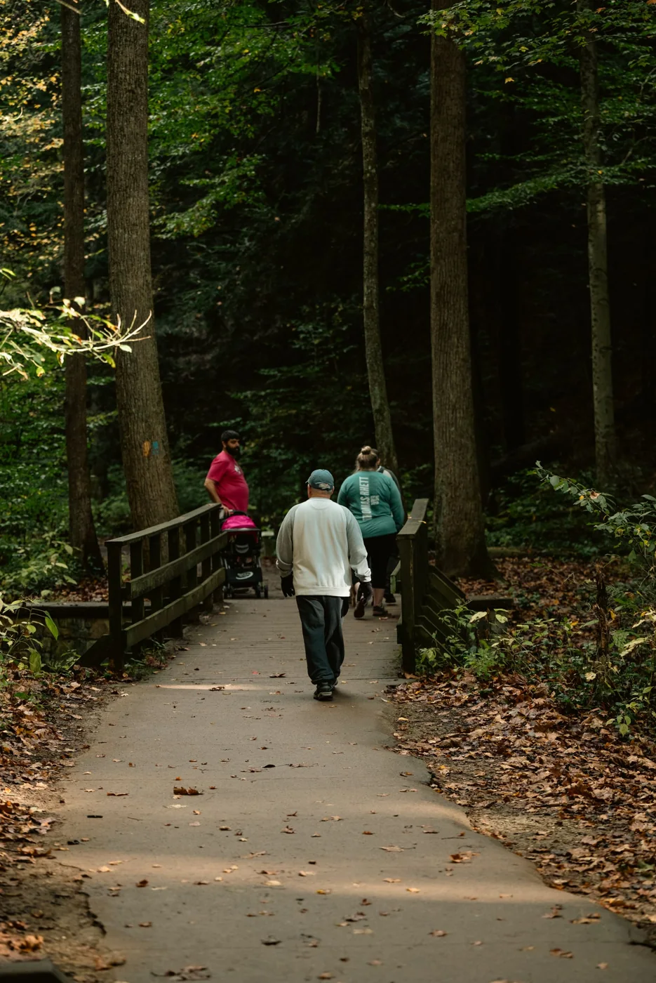 People walking along a wooded path